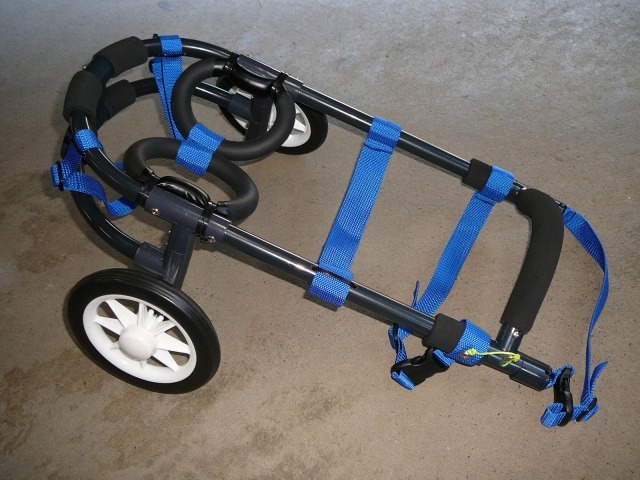 640×480-P1080442.jpg