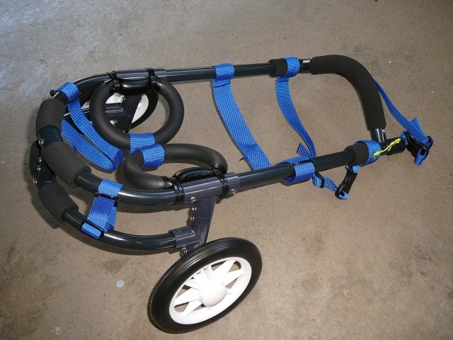 640×480-P1080443.jpg