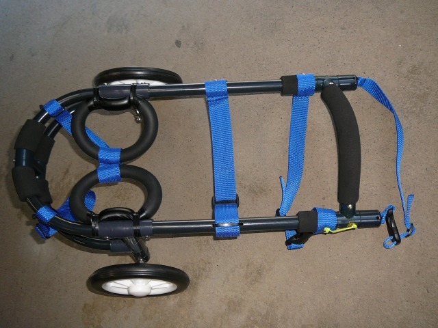 640×480-P1080444.jpg