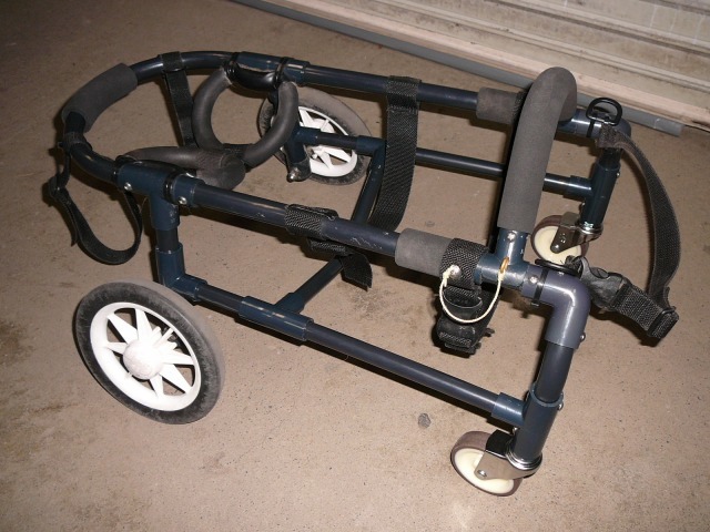 640×480-P1090646.jpg