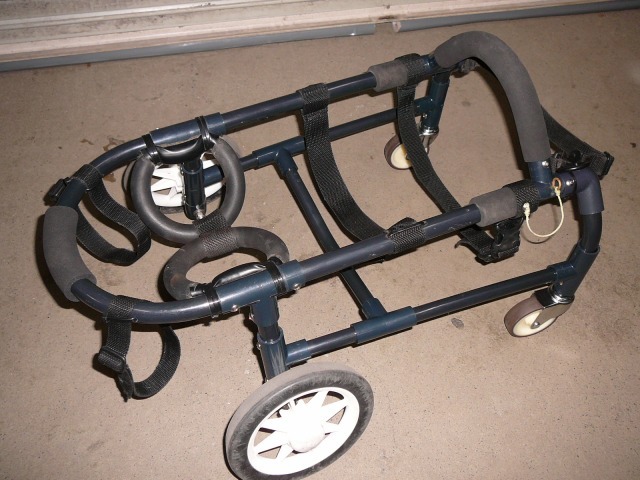 640×480-P1090647.jpg
