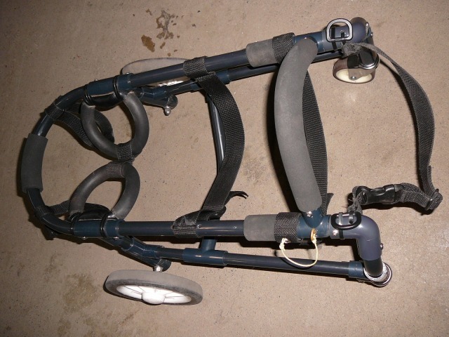 640×480-P1090648.jpg