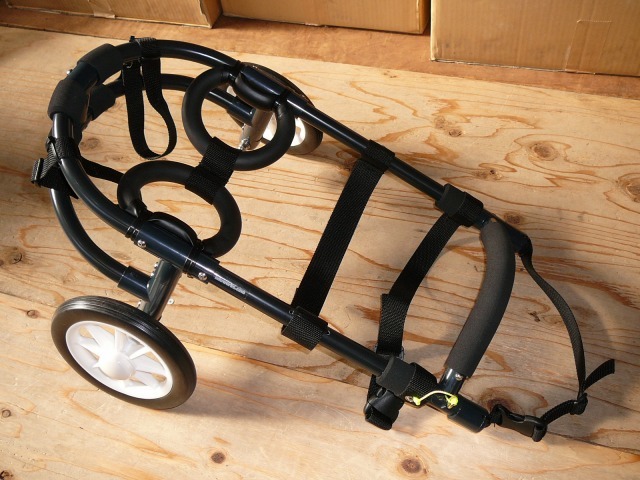 640×480-P1110197.jpg