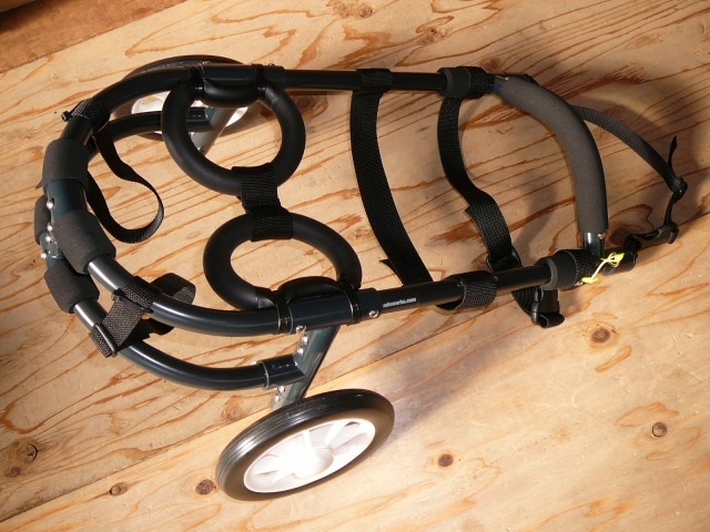 640×480-P1110198.jpg
