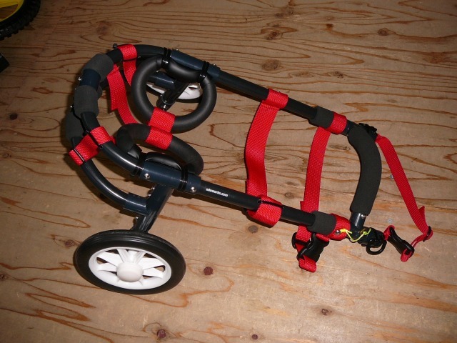 640×480-P1130651.jpg