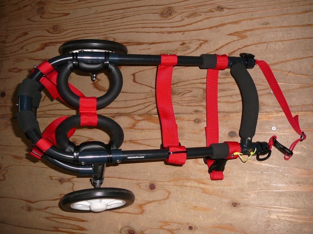 640×480-P1130653.jpg