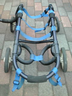 !cid_01@120116_180641@______F07A@docomo_ne.jpg