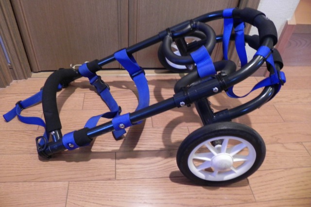 640×480-019.jpg