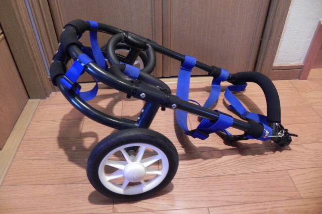 640×480-020.jpg