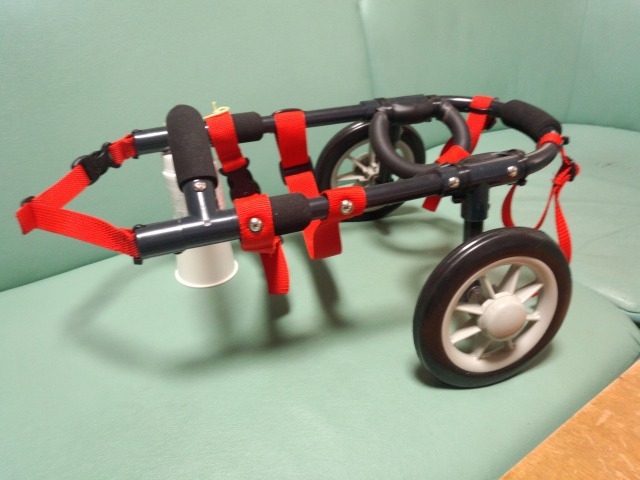 640×480-IMG_20140202_150844319.jpg