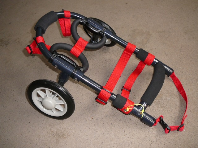 640×480-P1070974.jpg