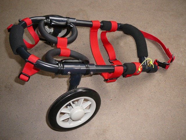 640×480-P1070975.jpg