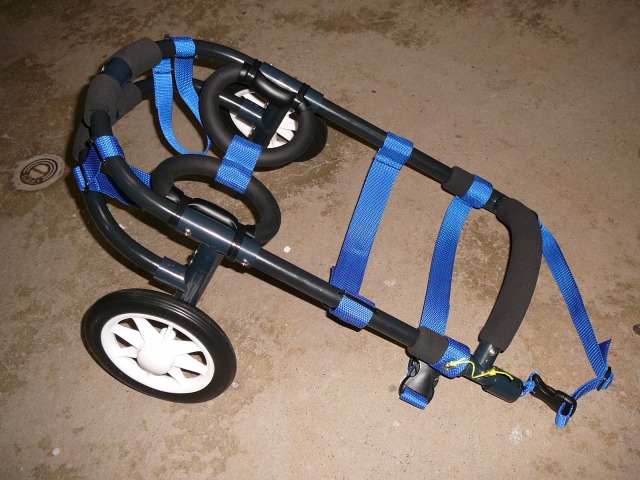 640×480-P1090197.jpg