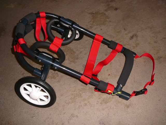 640×480-P1090267.jpg
