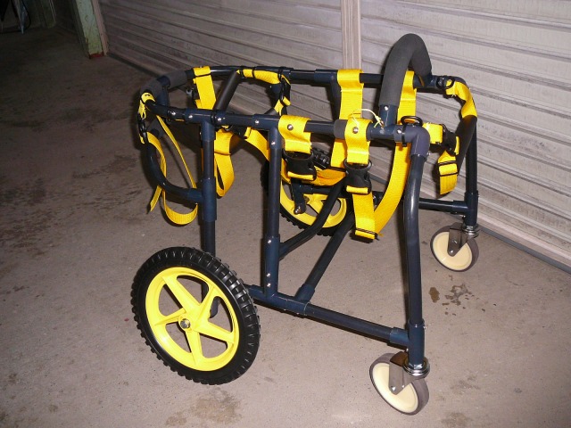 640×480-P1090561.jpg