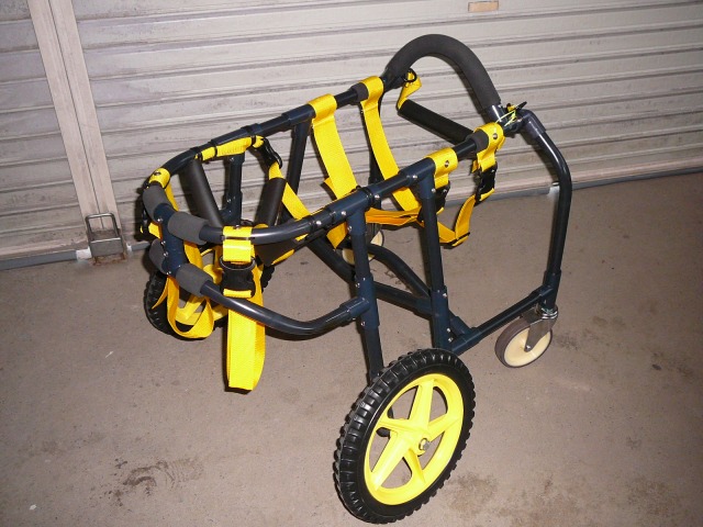 640×480-P1090562.jpg