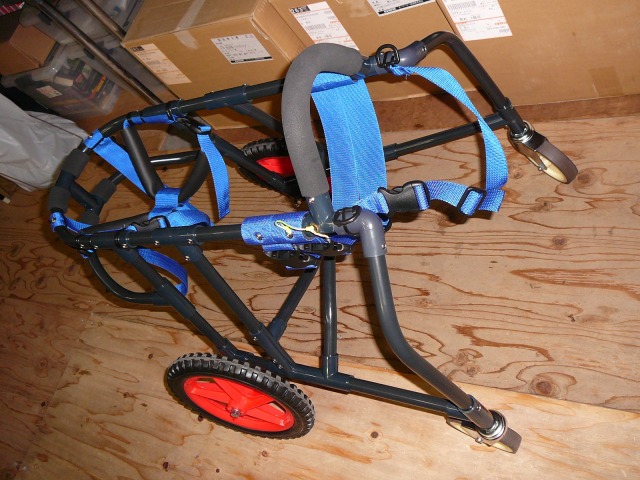 640×480-P1110068.jpg