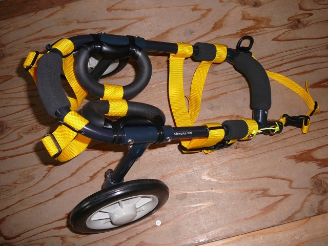 640×480-P1110210.jpg