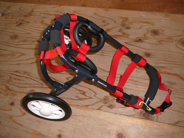 640×480-P1130061.jpg