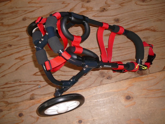640×480-P1130062.jpg