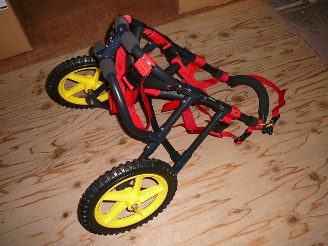 640×480-P1140343.jpg