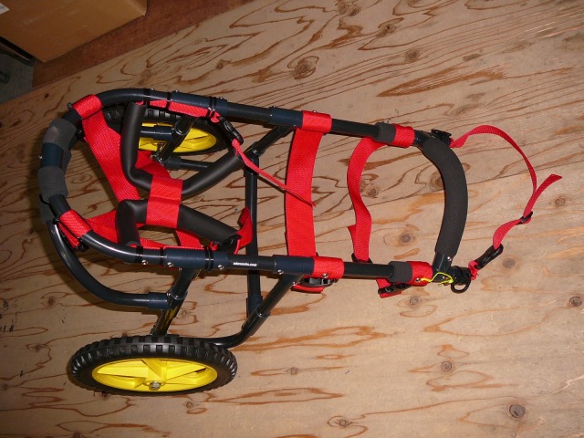 640×480-P1140344.jpg