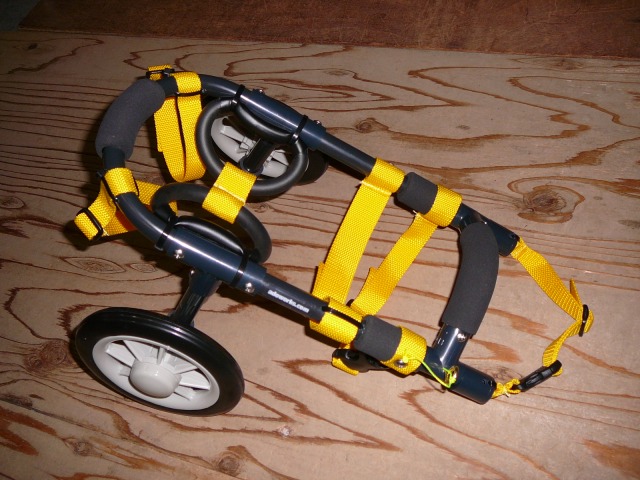640×480-P1150416.jpg