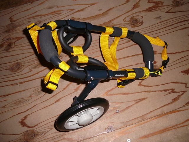 640×480-P1150417.jpg