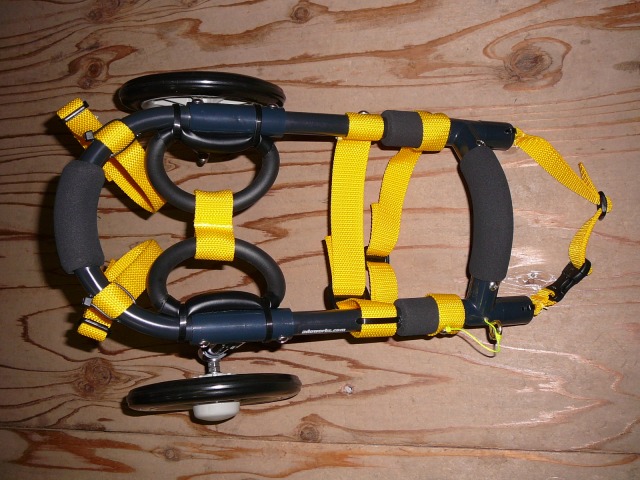 640×480-P1150418.jpg