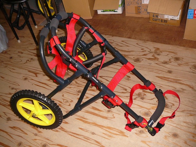 640×480-P1150488.jpg