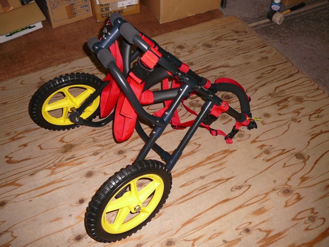 640×480-P1150489.jpg