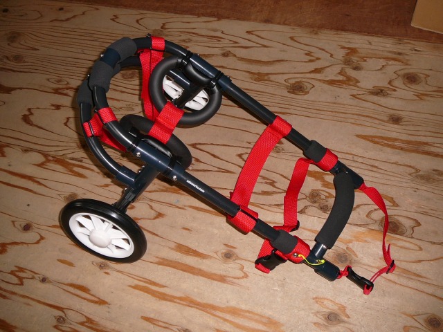 640×480-P1150913.jpg