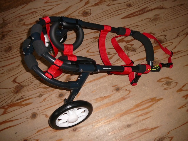 640×480-P1150914.jpg