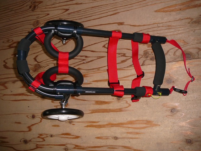 640×480-P1150915.jpg