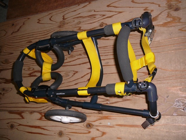 640×480-P1160046.jpg
