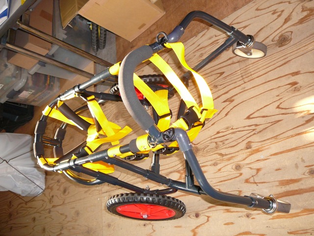 640×480-P1160974.jpg