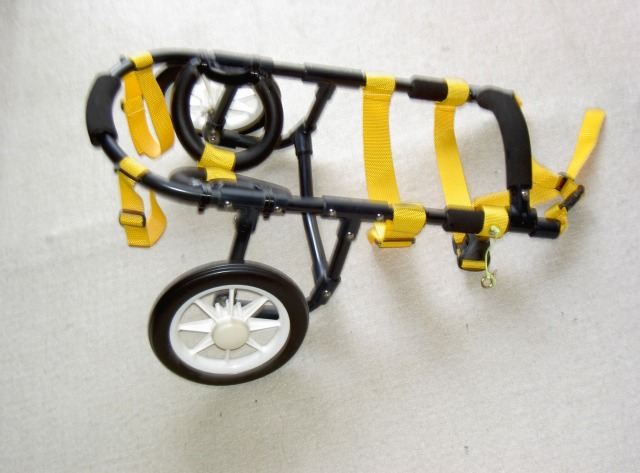 640×480-PICT0443.jpg