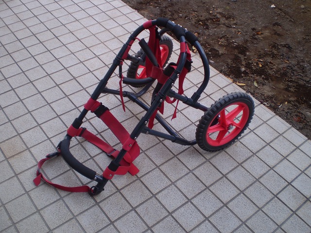 640×480P1070354.jpg