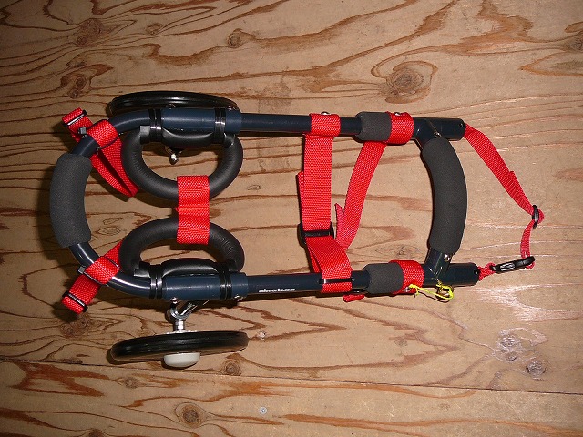 640×480P1160677.jpg