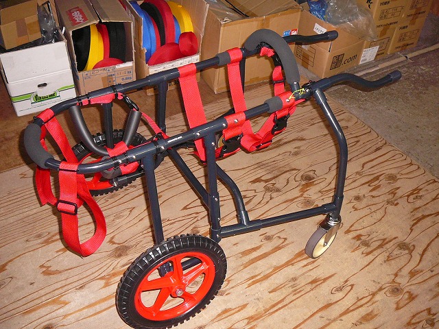 640×480P1170677.jpg