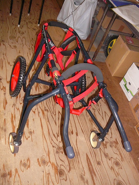 640×480P1170678.jpg