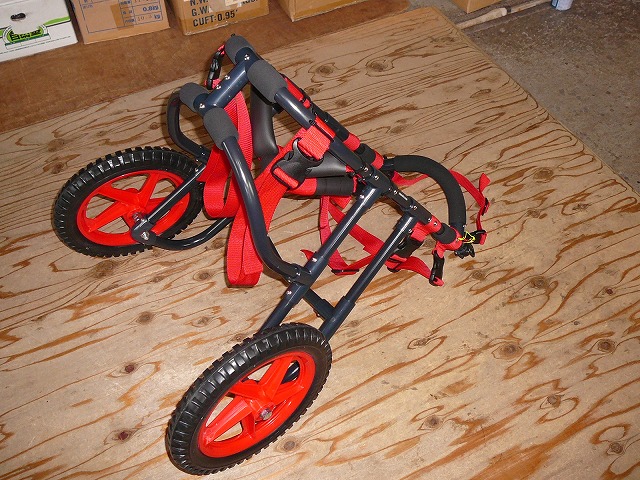 640×480P1170716.jpg