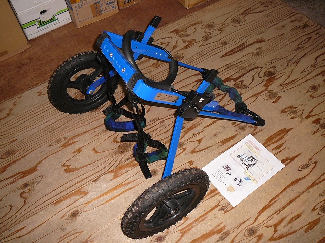 640×480P1180796.jpg