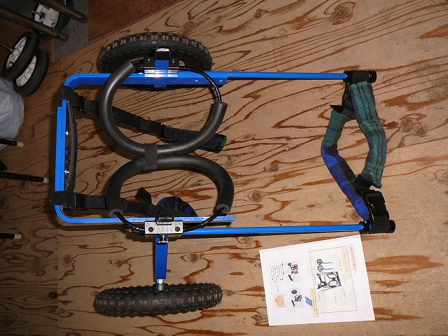640×480P1180797.jpg