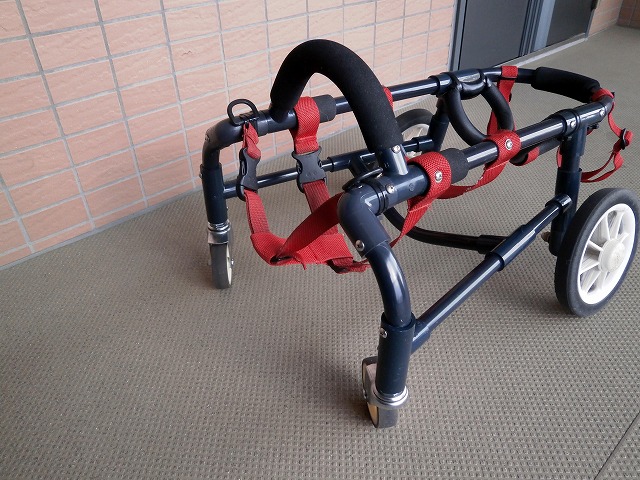 640×480P4020617.jpg