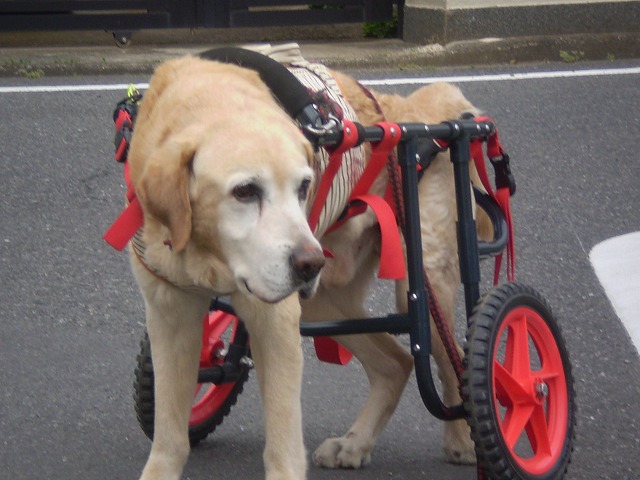 640×480P5010224.jpg